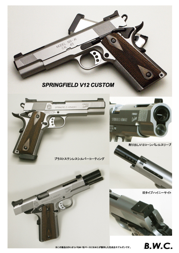 SPRINGFIELD V12 CUSTOM ē