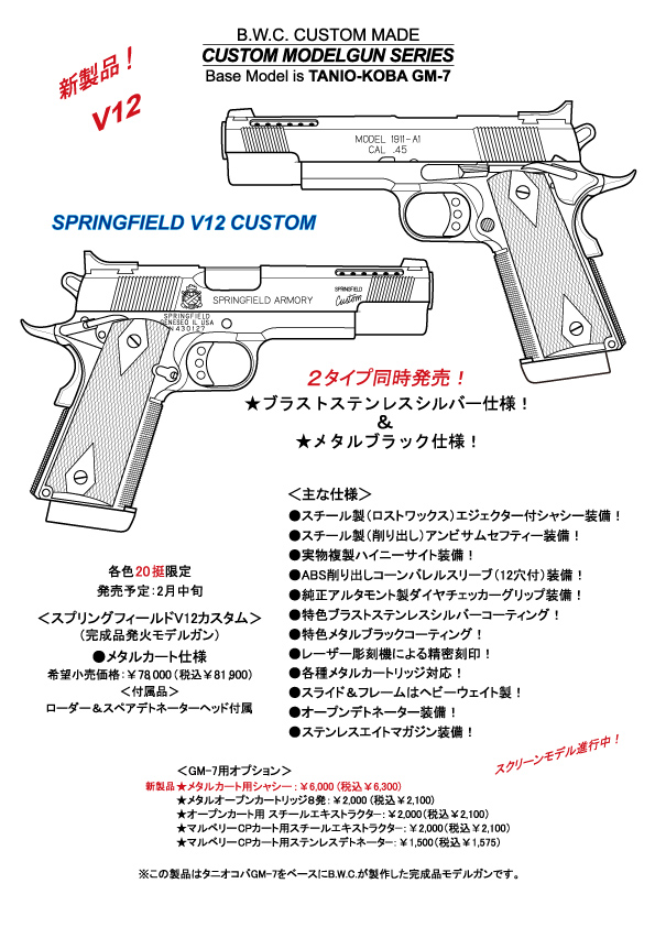 SPRINGFIELD V12 CUSTOM ē