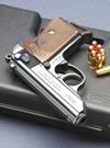 PPK Bluing Model